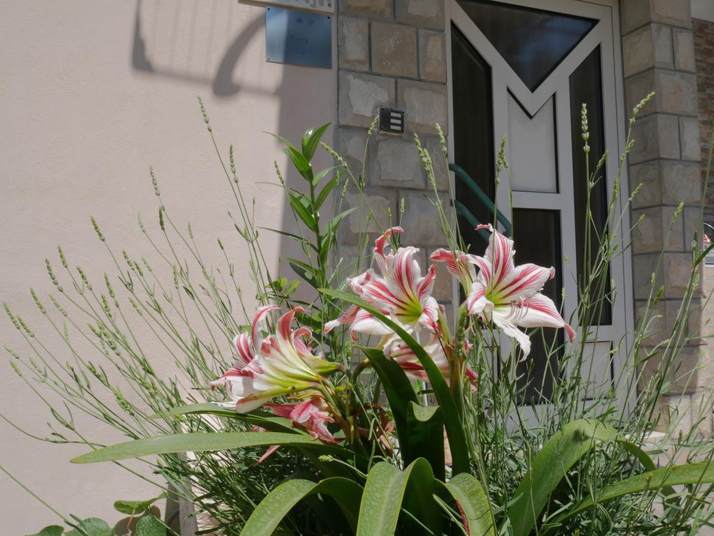 Guest House Almond Bečići Esterno foto